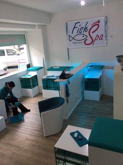 Eine Übersicht über unseren Marina Fish Spa Köln. Hier sind 3 der 8 Behandlungsbecken zu sehen. Singlebecken und Pärchenbecken. Vor der Behandlung werden auf den gemütlichen Sesseln die Füße gewaschen.